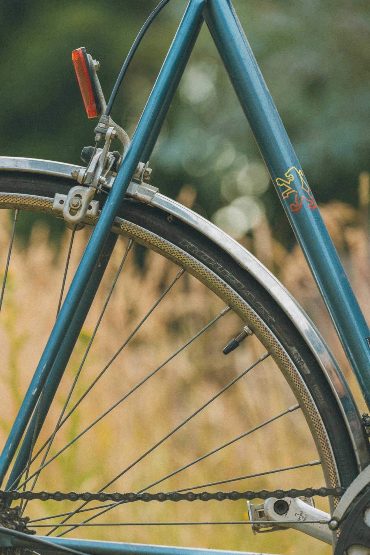 Bike - Detail